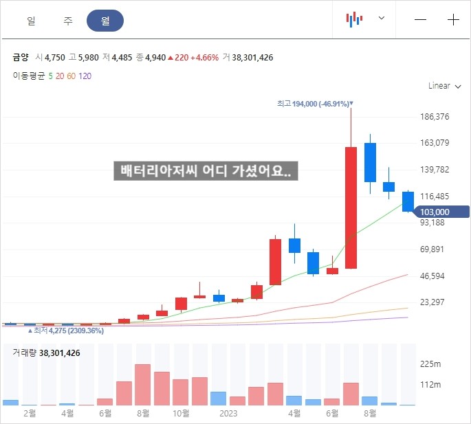 금양 주가