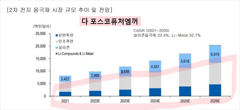 음극재시장규모