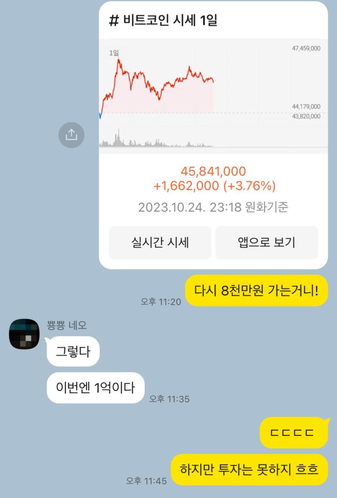 이 때 샀었어야지 바보야