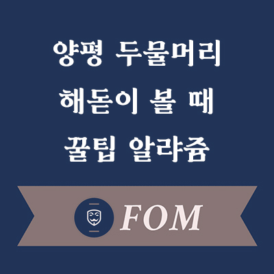 양평 두물머리 꿀팁