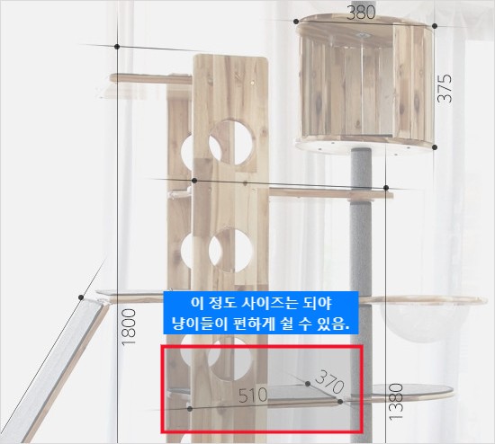 냥이들이 쉬는 사이즈