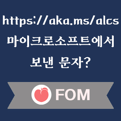 마이크로소프트 문자