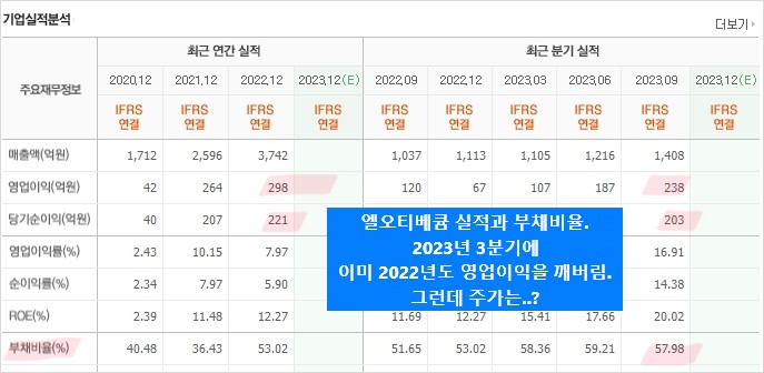 엘오티베큠 부채비율